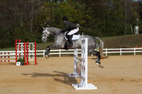 VF7L1368