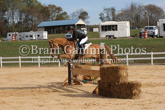 VF7L1616