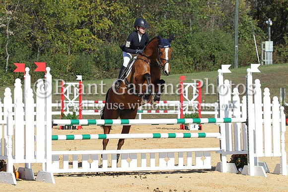VF7P1100
