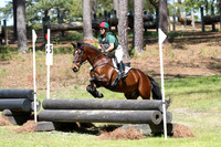 Miller.Amy.Tre Awain Irish Punch.LL8