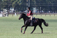 WF7M0738