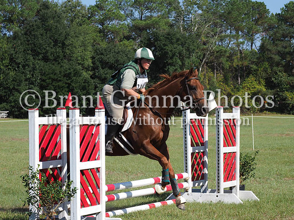 WF7K2317