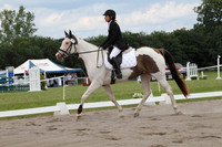 GV7P1238