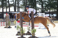 WS8P2302
