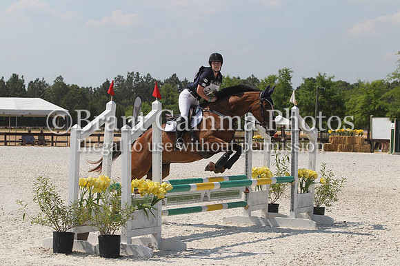 WS8P2193