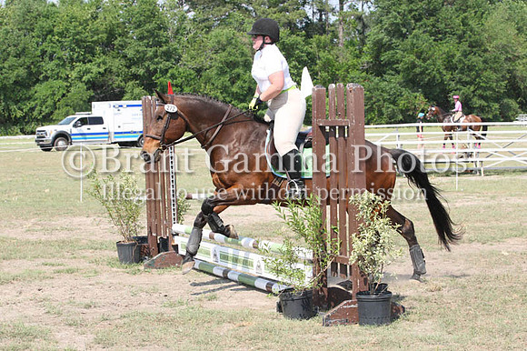 WS8L1558