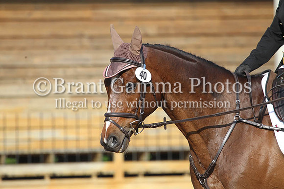 VS8B0348