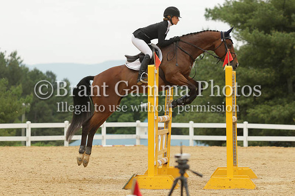 VS8E0948
