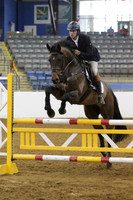 VS8E2950