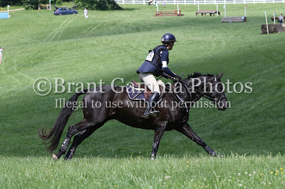 VS8J1002