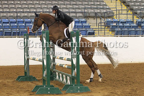 VS8B3303