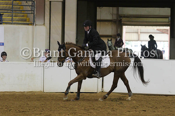 VS8E2351