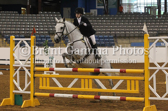 VS8P2502
