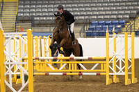 VS8B3294