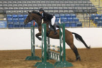 VS8P3736