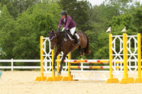 VS8E1781