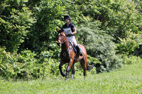 VS8B3671