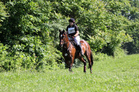 VS8B3596