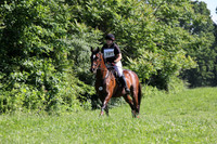 VS8B3595
