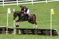 VS8L1900