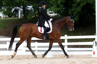 VS7B0353