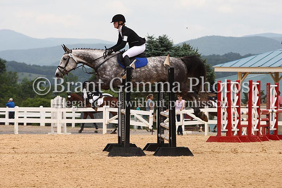 VS1V1015