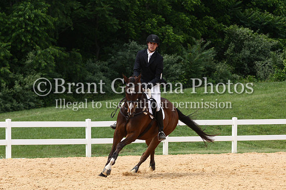 VS1V1364