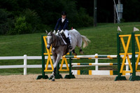 VS1V2007