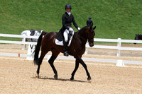 VS7B1008