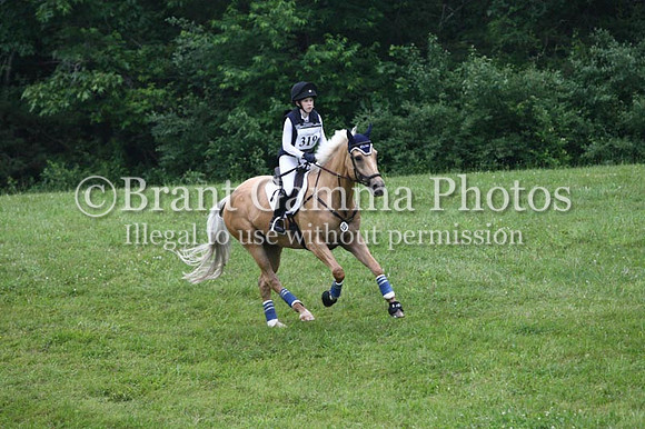 VS1V2664