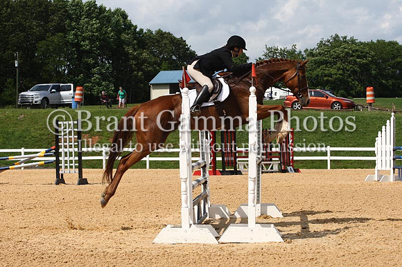 VS1V1981