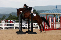 VS1V2262