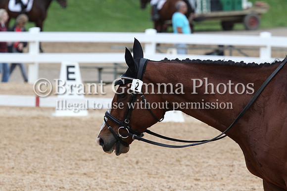 VS7B0979