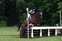 VS1V3295