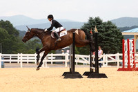 VS1V0838