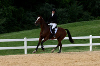 VS1V2011