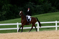 VS1V2012