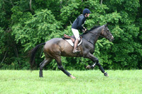 VS1V3029