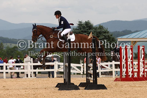 VS1V1577