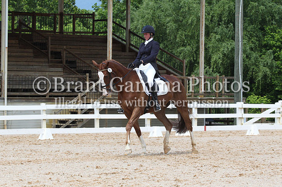 VS7B0817