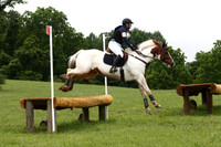 VS1V3919