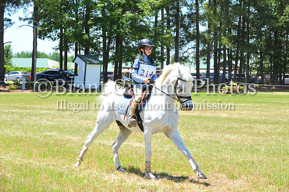 WSD_9690