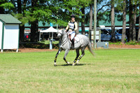 WSD_8450