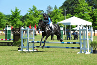 WSD_8697