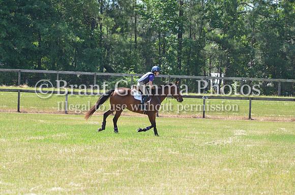 WSC_0975