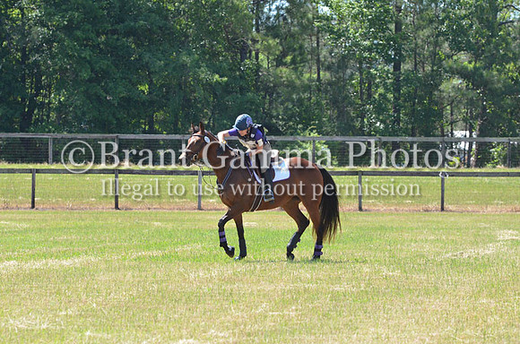 WSC_0978