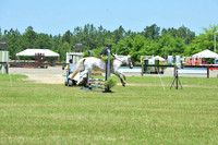 WSD_9471