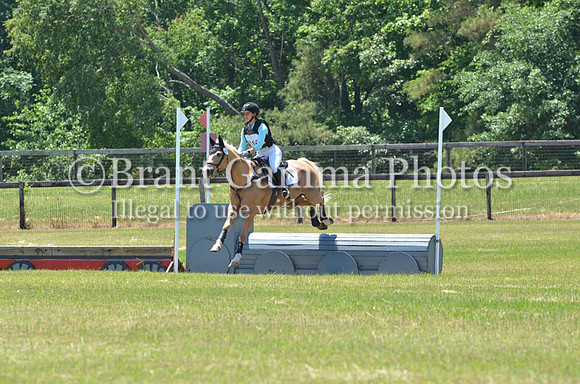 WSC_1253