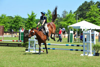 WSD_8943