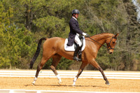 CI7E2193